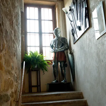 Le Relais Des Dames Bed & Breakfast Neuville-sur-Saône